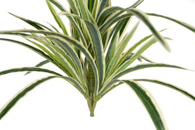 Chlorophytum artificial L D46xH46 cm cu 60 frunze GW