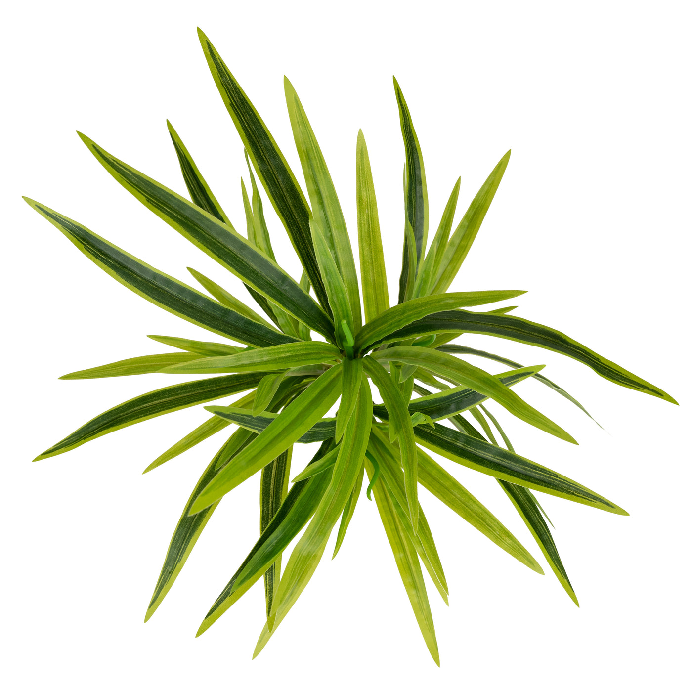 Chlorophytum artificial M D43xH40 cm cu 56 frunze GL