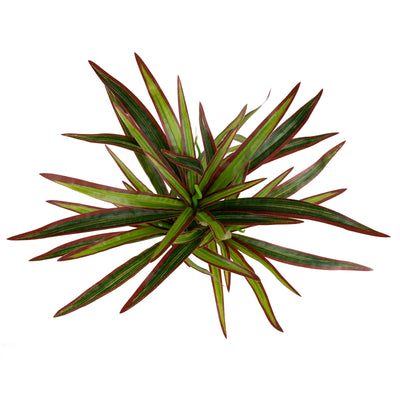 Chlorophytum artificial M D43xH40 cm cu 56 frunze GR