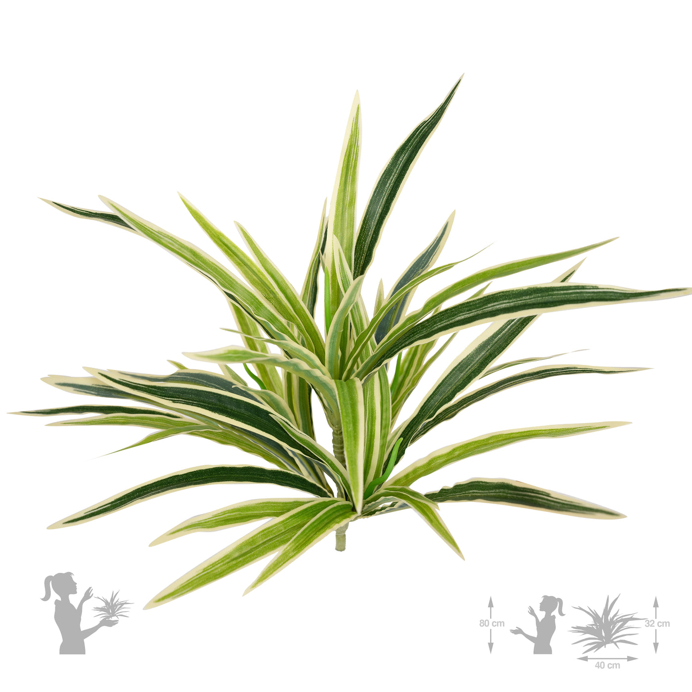 Chlorophytum artificial M D43xH40 cm cu 56 frunze GW