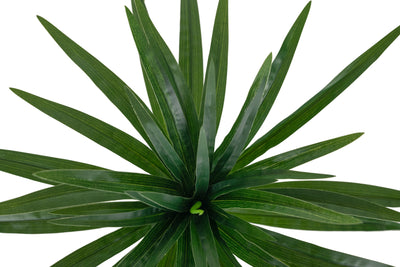 Chlorophytum artificial S D45xH35 cm cu 48 frunze GD