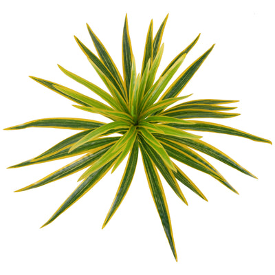 Chlorophytum artificial S D45xH35 cm cu 48 frunze GY