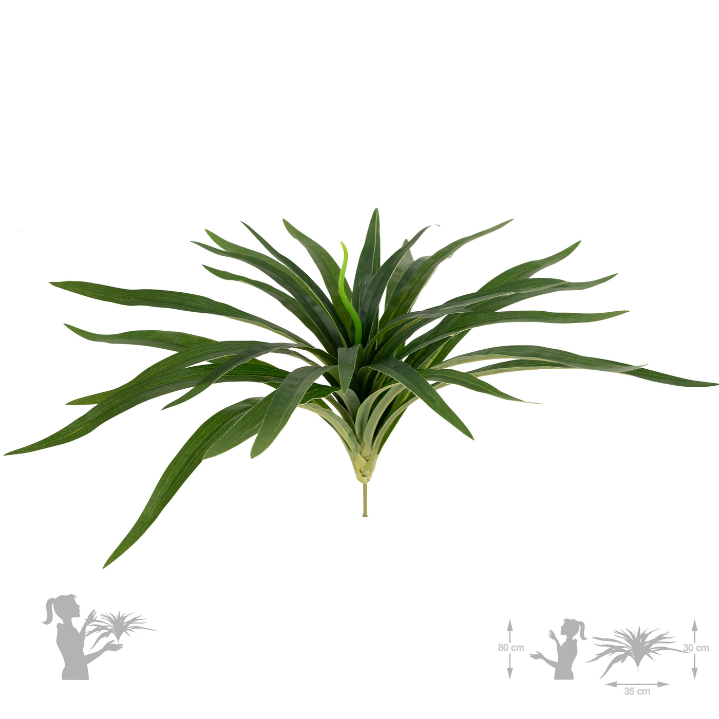 Chlorophytum artificial XS D35xH30cm cu 30 frunze GD