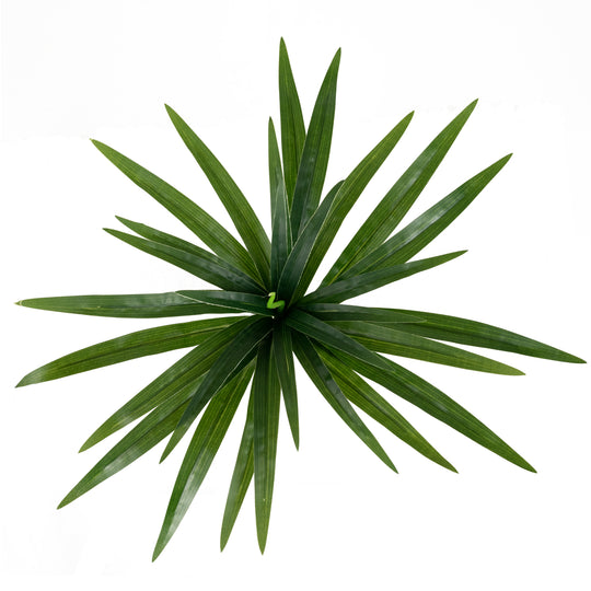Chlorophytum artificial XS D35xH30cm cu 30 frunze GD