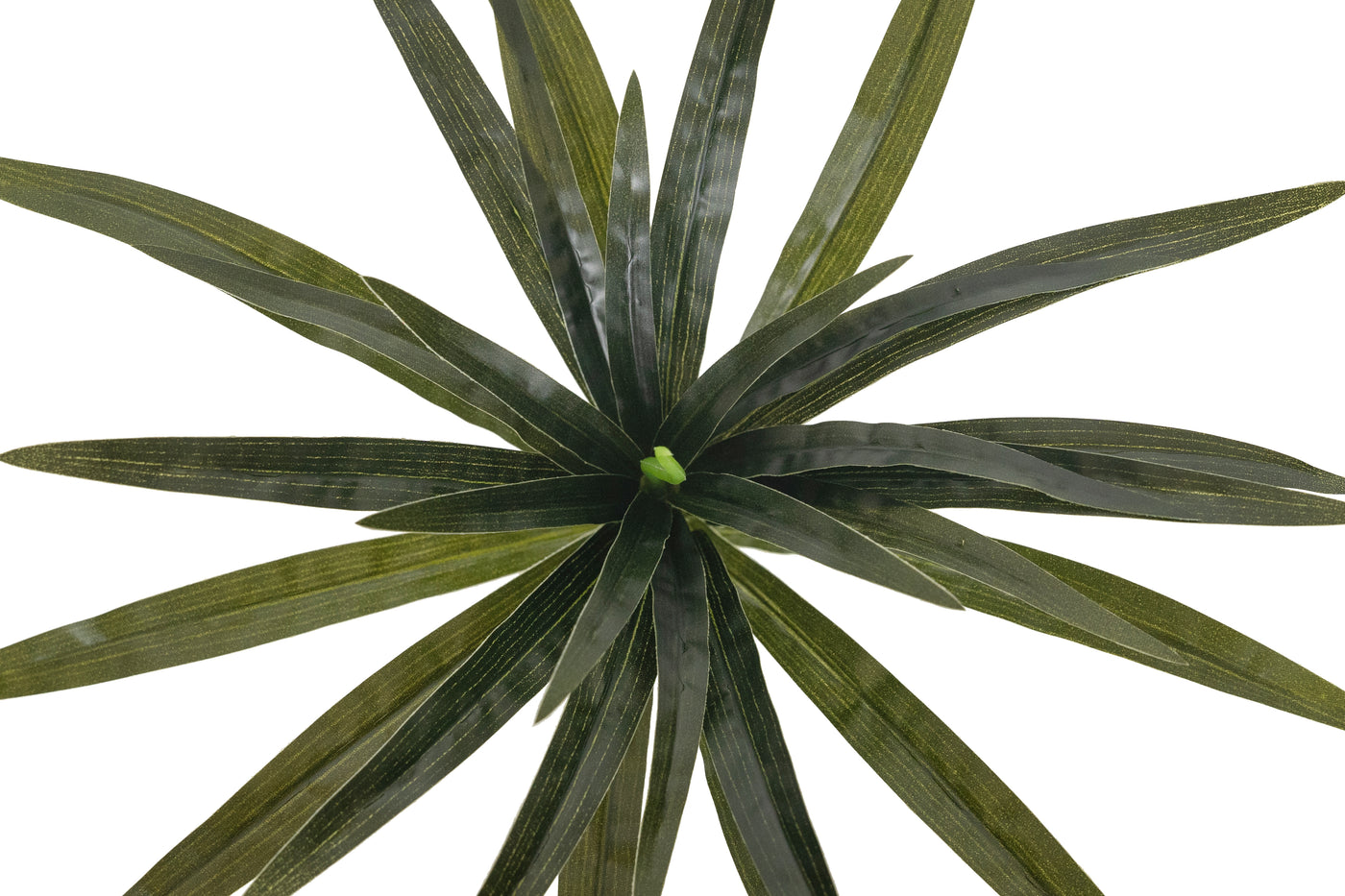 Chlorophytum artificial XS D35xH30cm cu 30 frunze GG