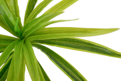 Chlorophytum artificial XS D35xH30cm cu 30 frunze GL