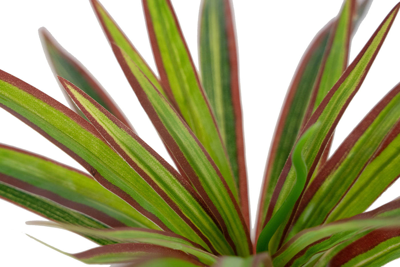 Chlorophytum artificial XS D35xH30cm cu 30 frunze GR