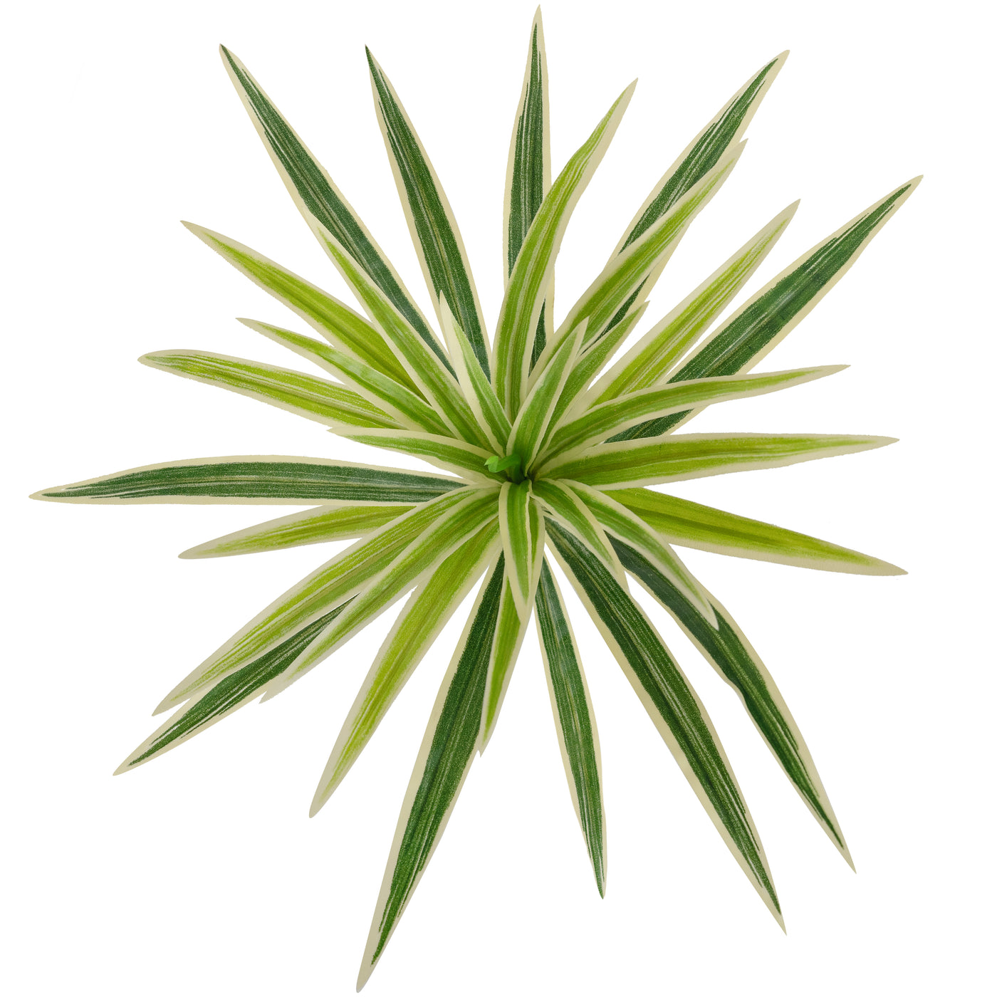 Chlorophytum artificial XS D35xH30cm cu 30 frunze GW