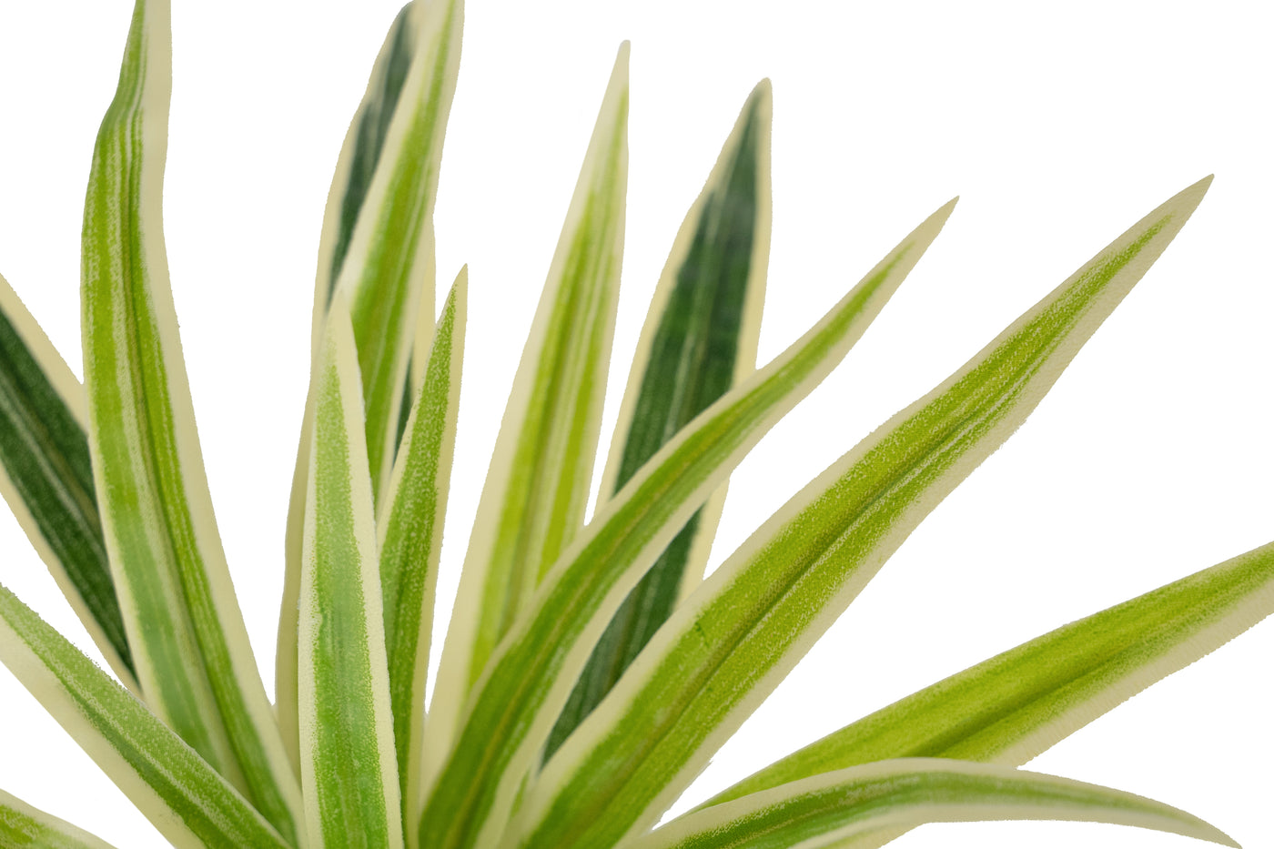 Chlorophytum artificial XS D35xH30cm cu 30 frunze GW