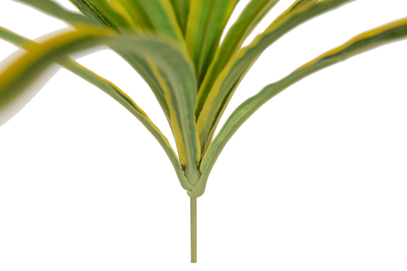 Chlorophytum artificial XS D35xH30cm cu 30 frunze GY