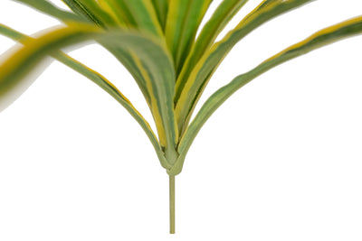 Chlorophytum artificial XS D35xH30cm cu 30 frunze GY