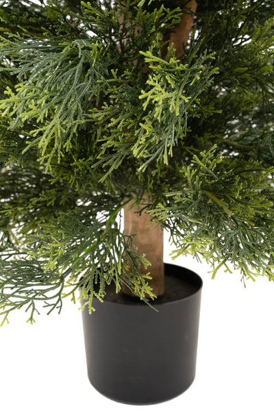 Conifer artificial H180cm Cypress cu 3800 frunze cu protectie UV