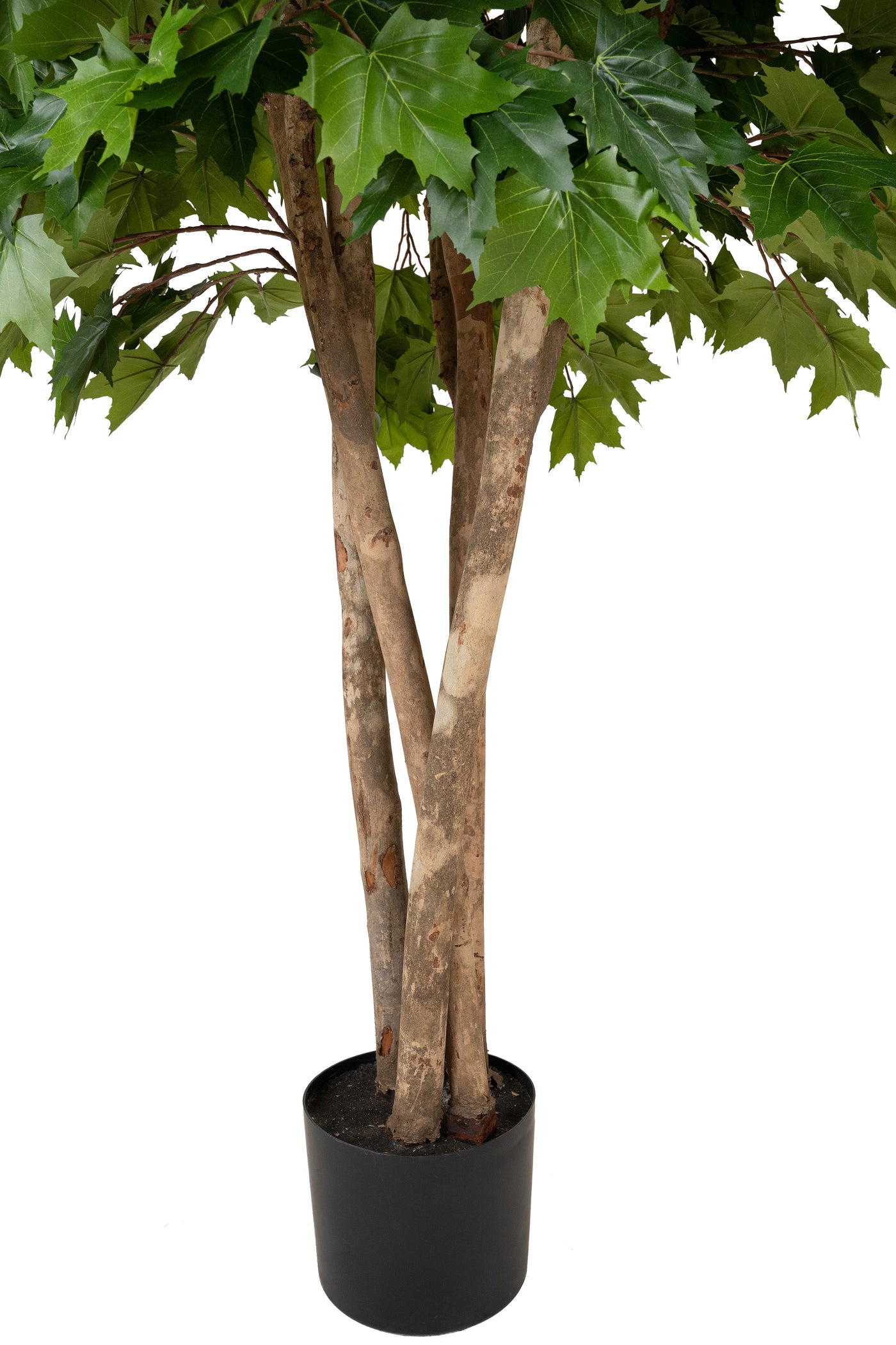 Copac artificial H250cm Artar cu trunchiuri multiple cu 1040 frunze, coroana D140cm