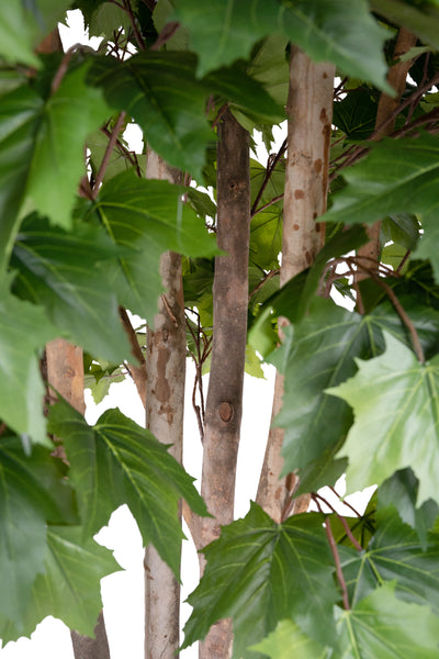 Copac artificial H250cm Artar cu trunchiuri multiple cu 1040 frunze, coroana D140cm