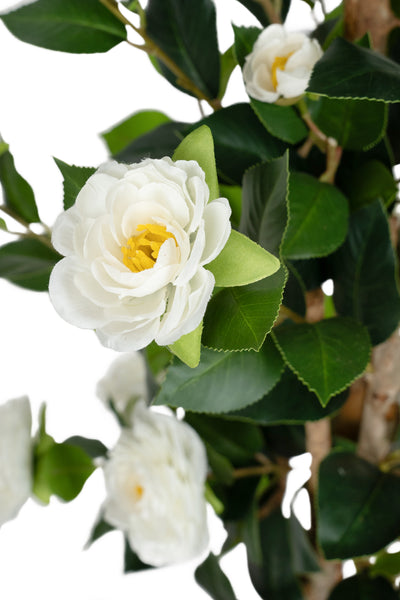 Copac artificial Camelia Japonica H120 cm cu 261 frunze si 36 flori crem