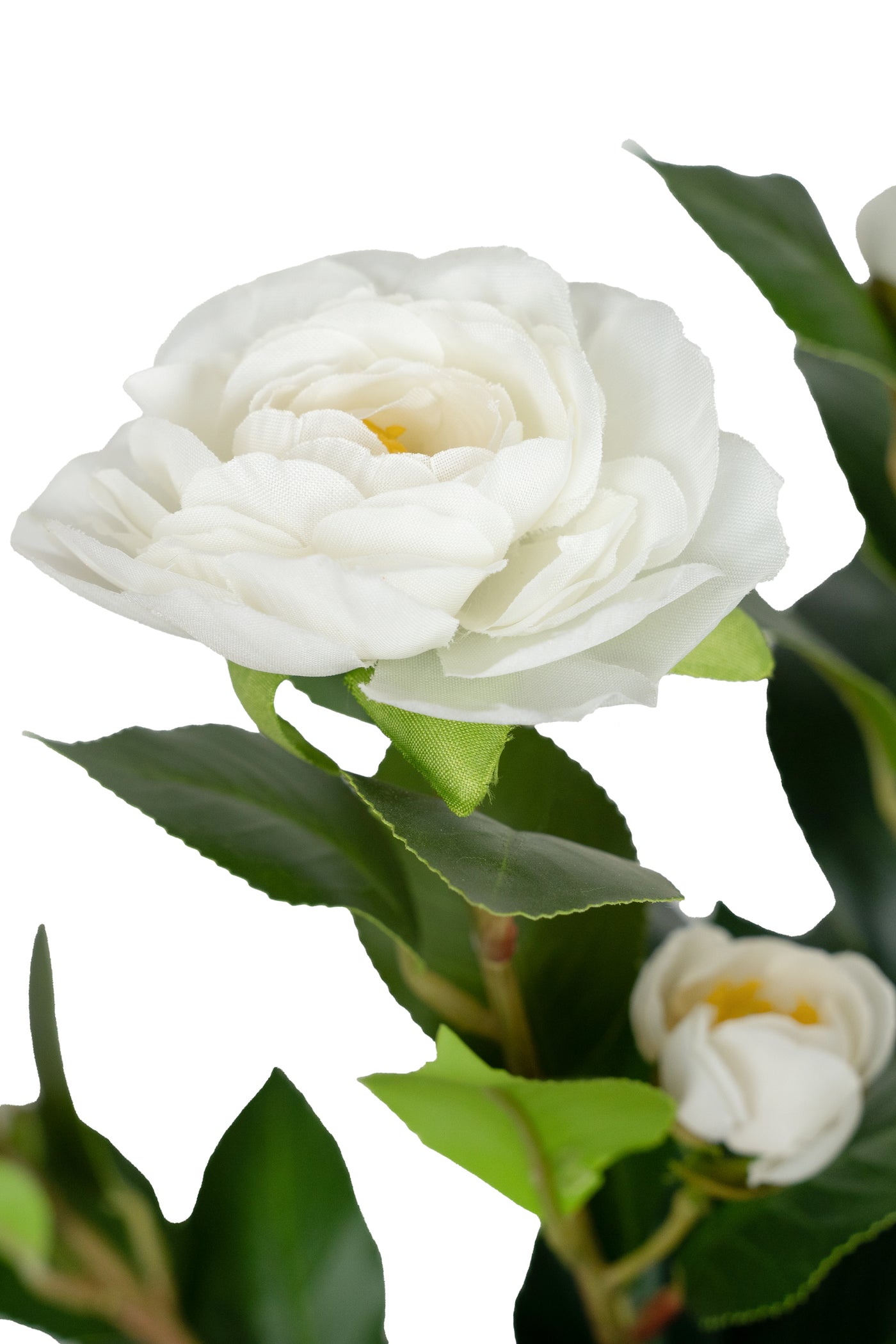 Copac artificial Camelia Japonica H120 cm cu 261 frunze si 36 flori crem
