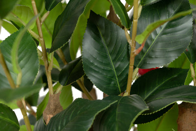 Copac artificial Camelia Japonica H120 cm cu 261 frunze si 36 flori rosii