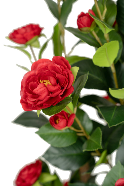 Copac artificial Camelia Japonica H120 cm cu 261 frunze si 36 flori rosii