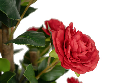 Copac artificial Camelia Japonica H120 cm cu 261 frunze si 36 flori rosii