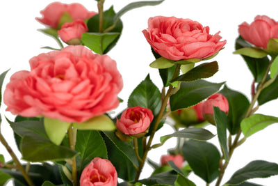 Copac artificial Camelia Japonica H120 cm cu 261 frunze si 36 flori roz