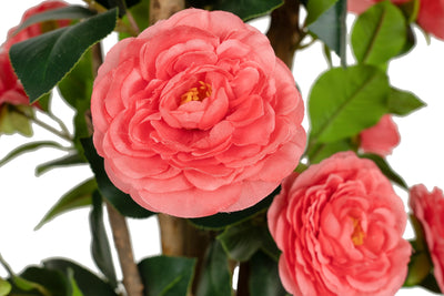 Copac artificial Camelia Japonica H120 cm cu 261 frunze si 36 flori roz