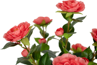 Copac artificial Camelia Japonica H120 cm cu 261 frunze si 36 flori roz