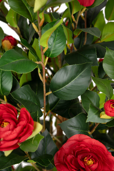 Copac artificial Camelia Japonica H120 cm cu 380 frunze si 38 flori rosii