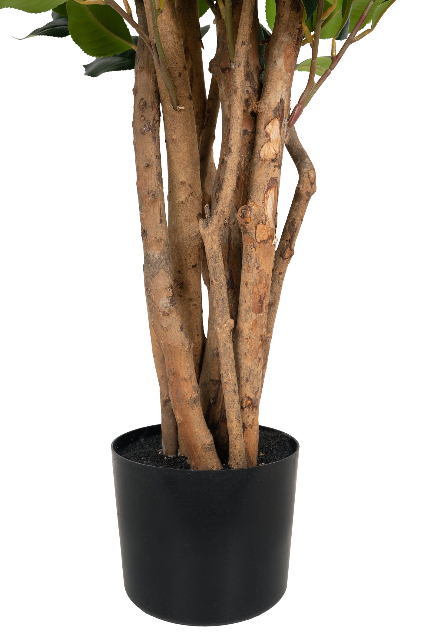 Copac artificial Camelia Japonica H120 cm cu 380 frunze si 38 flori rosii