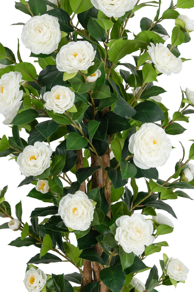 Copac artificial Camelia Japonica H150 cm cu 406 frunze si 56 flori albe
