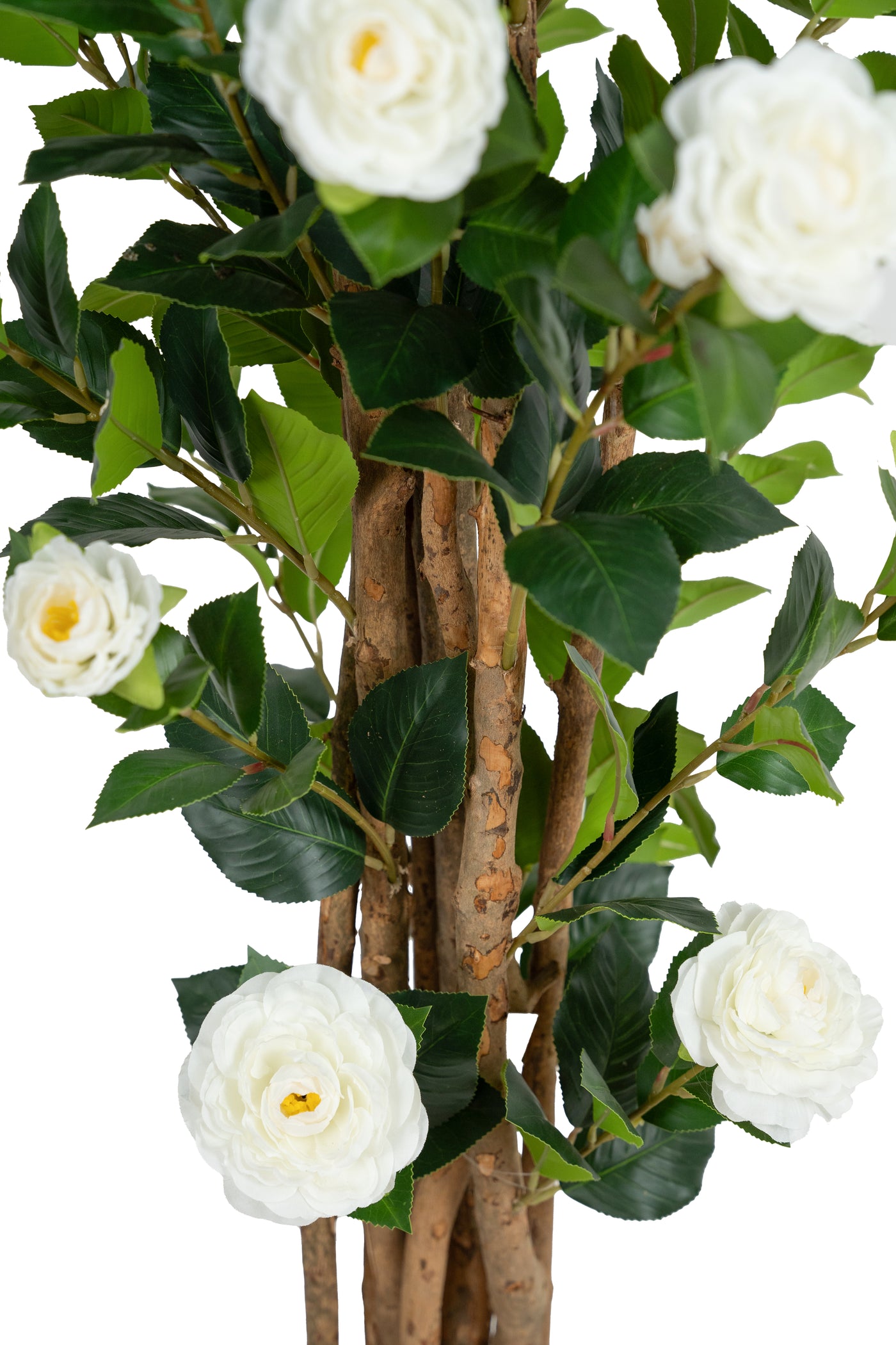 Copac artificial Camelia Japonica H150 cm cu 406 frunze si 56 flori albe