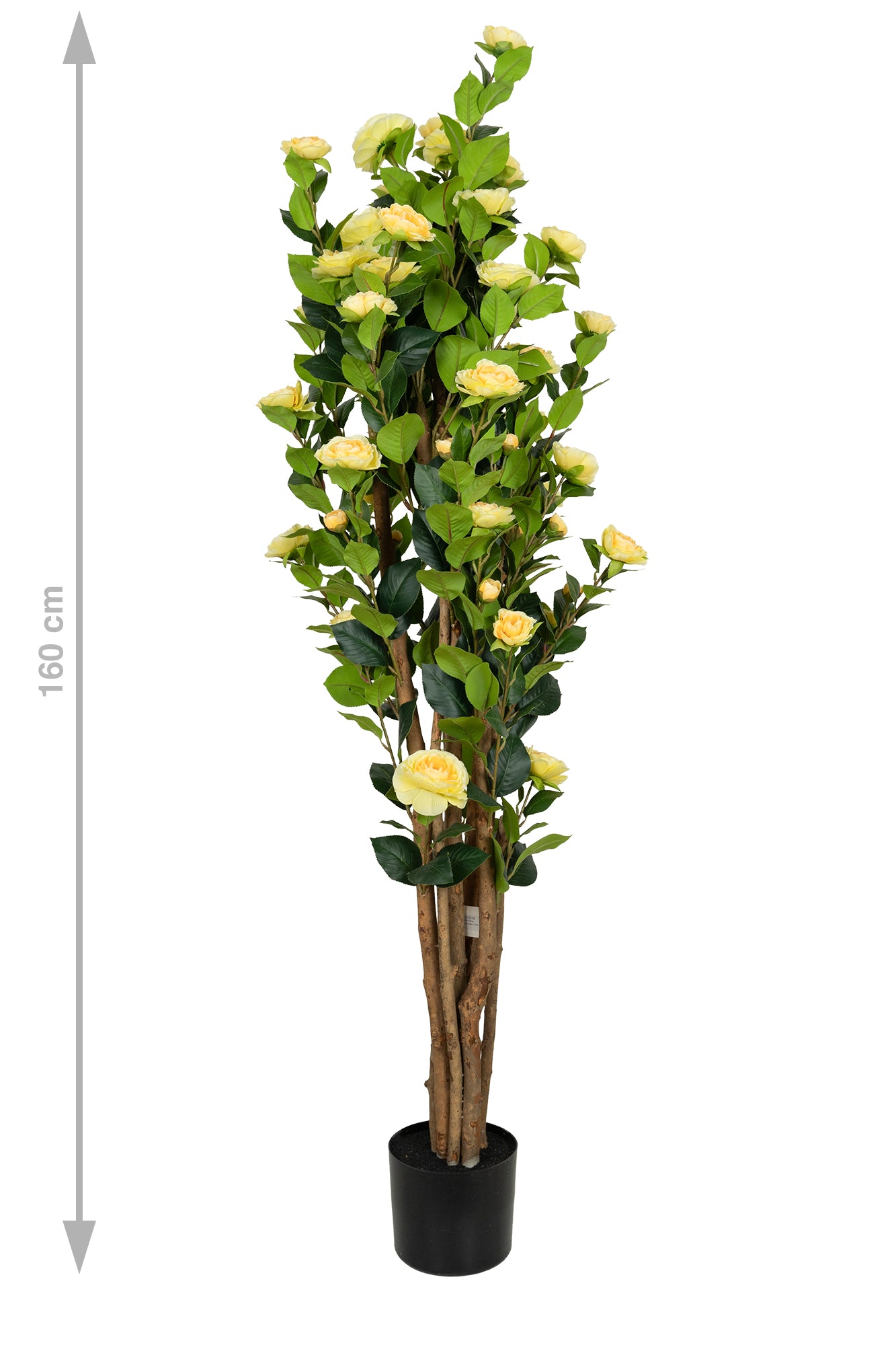 Copac artificial Camelia Japonica H150 cm cu 406 frunze si 56 flori crem