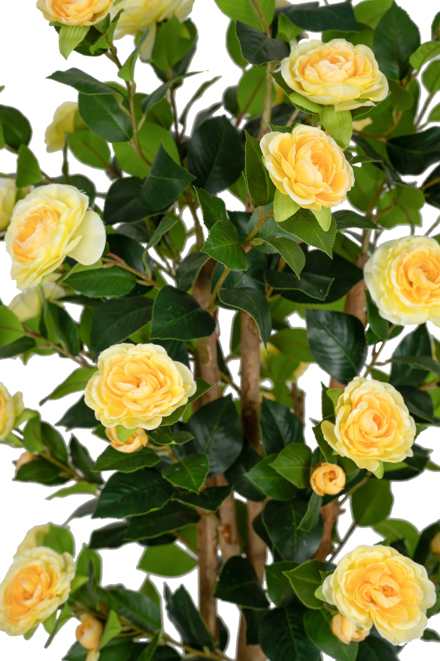 Copac artificial Camelia Japonica H150 cm cu 406 frunze si 56 flori crem