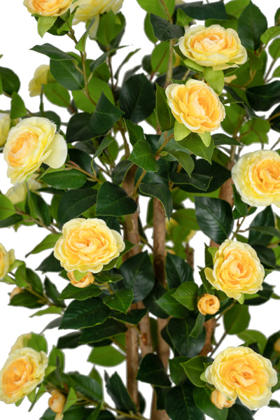 Copac artificial Camelia Japonica H150 cm cu 406 frunze si 56 flori crem