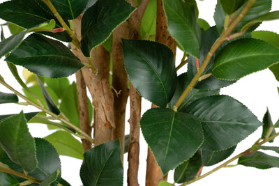 Copac artificial Camelia Japonica H150 cm cu 406 frunze si 56 flori crem