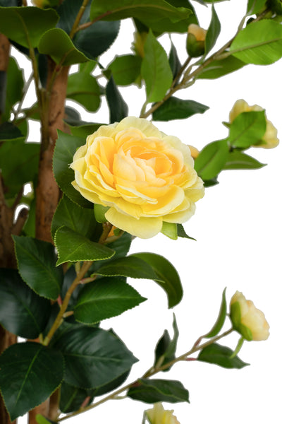 Copac artificial Camelia Japonica H150 cm cu 406 frunze si 56 flori crem