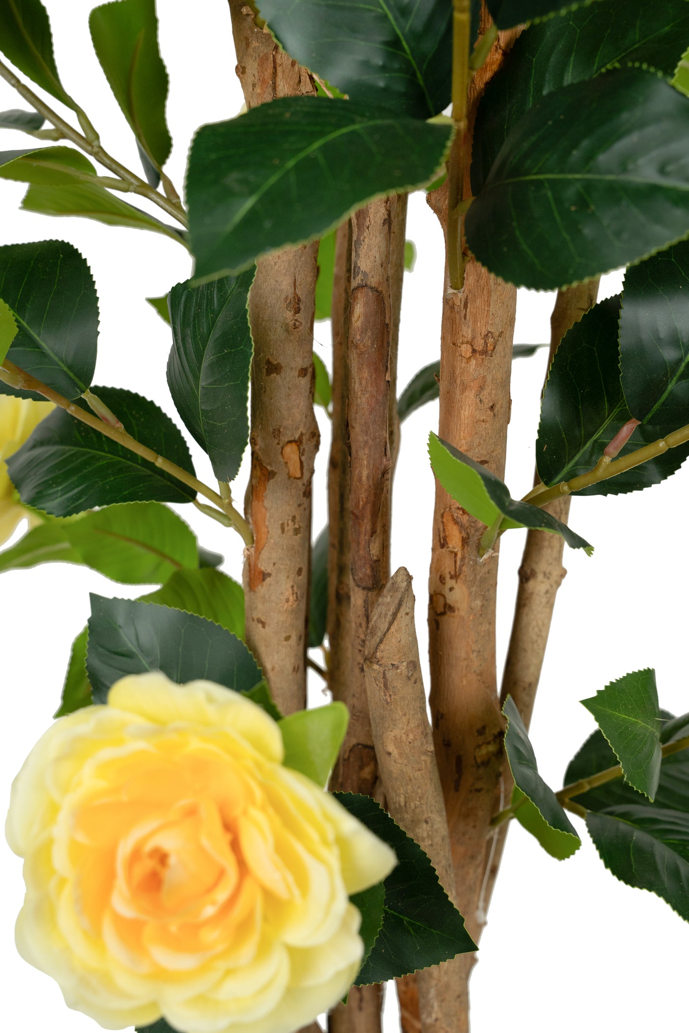 Copac artificial Camelia Japonica H150 cm cu 406 frunze si 56 flori crem