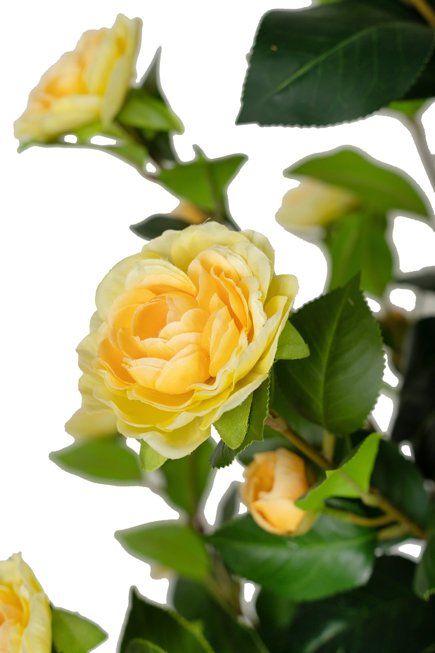 Copac artificial Camelia Japonica H150 cm cu 406 frunze si 56 flori crem