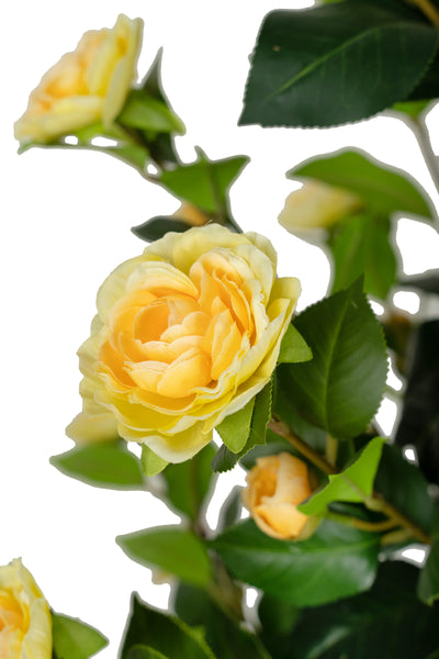 Copac artificial Camelia Japonica H150 cm cu 406 frunze si 56 flori crem
