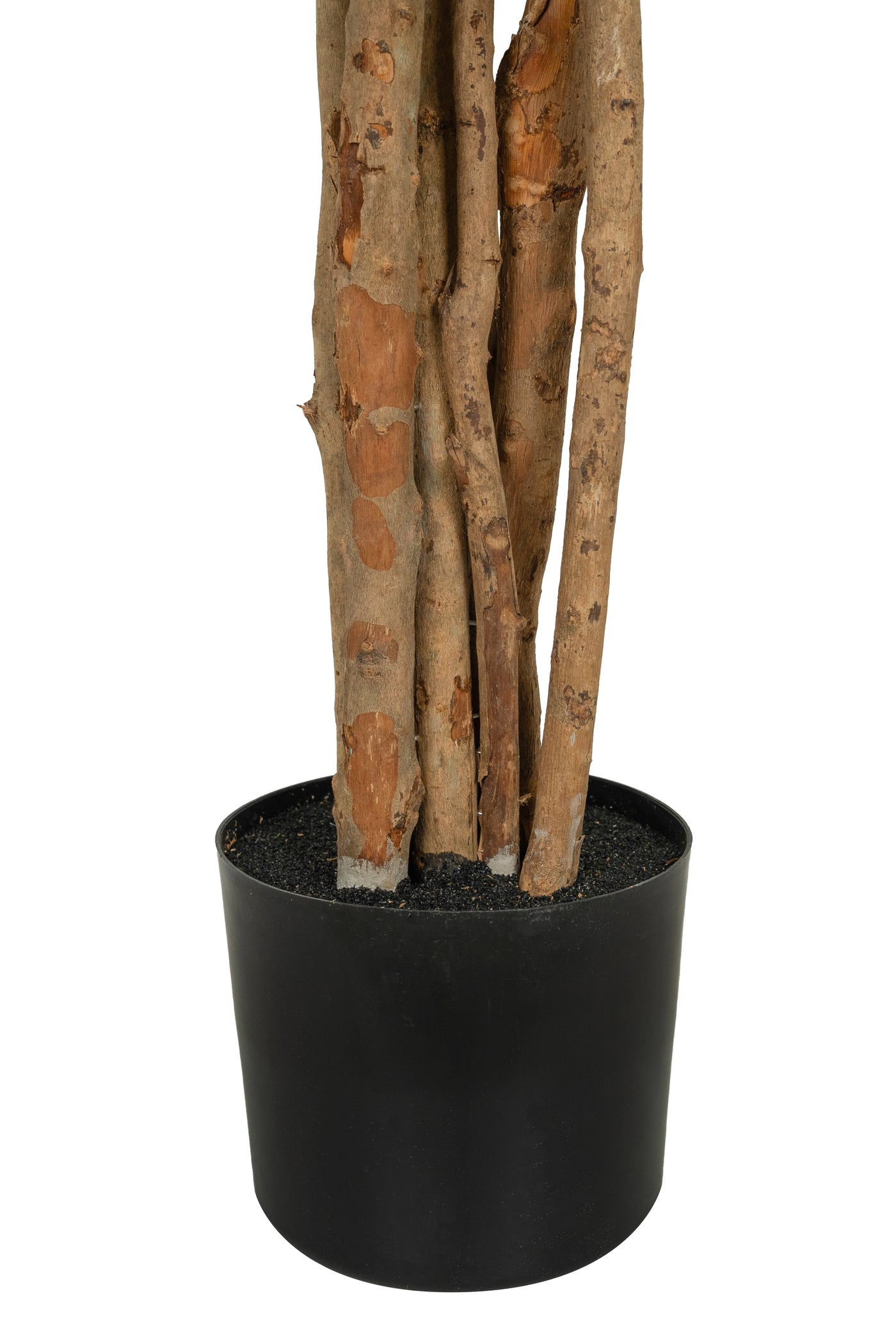 Copac artificial Camelia Japonica H150 cm cu 406 frunze si 56 flori crem