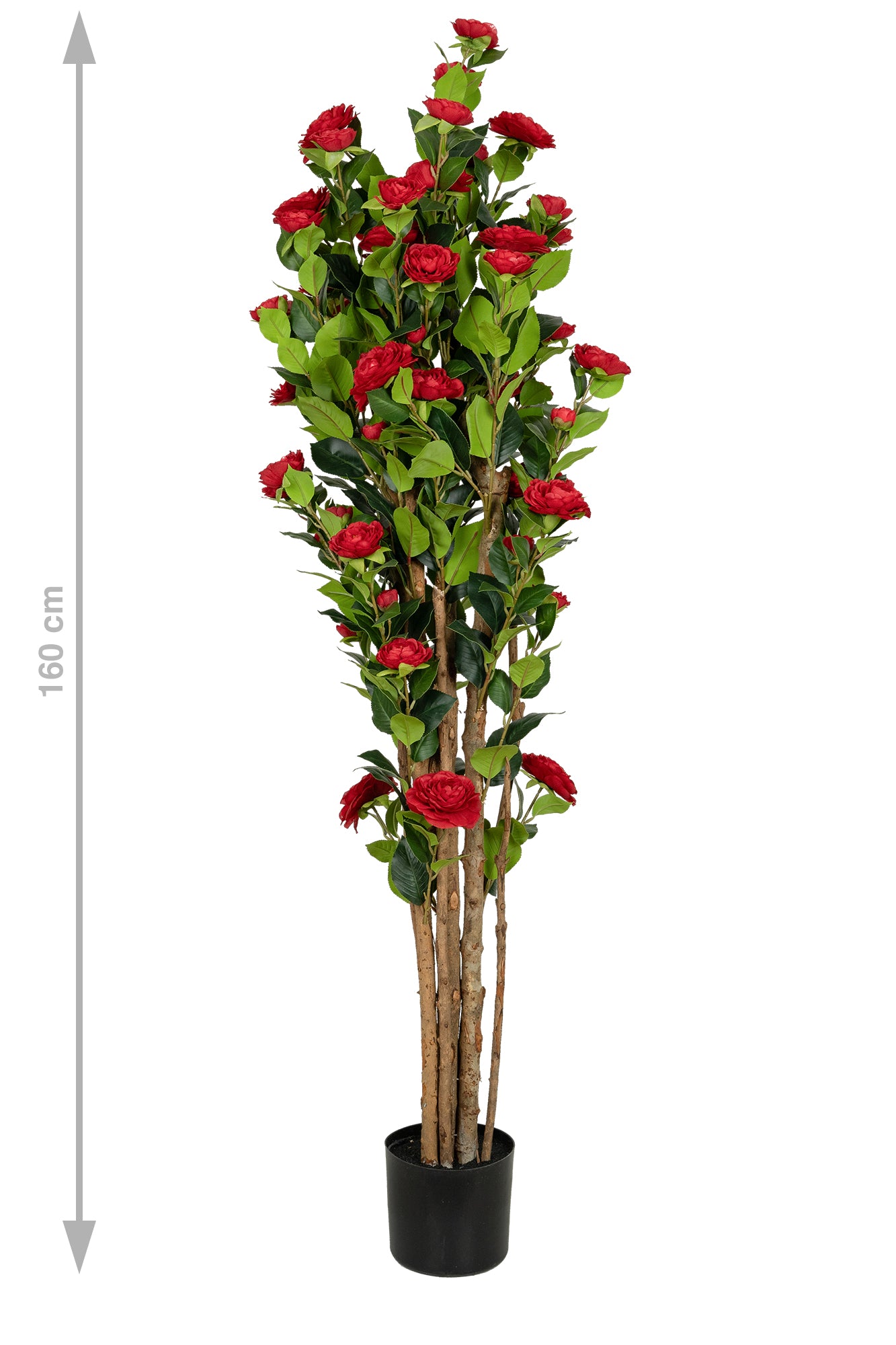 Copac artificial Camelia Japonica H150 cm cu 406 frunze si 56 flori rosii