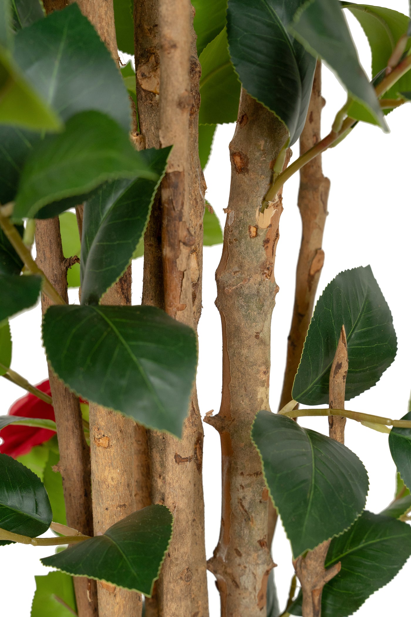 Copac artificial Camelia Japonica H150 cm cu 406 frunze si 56 flori rosii