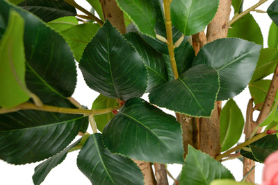 Copac artificial Camelia Japonica H150 cm cu 406 frunze si 56 flori roz
