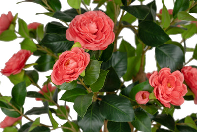 Copac artificial Camelia Japonica H150 cm cu 406 frunze si 56 flori roz