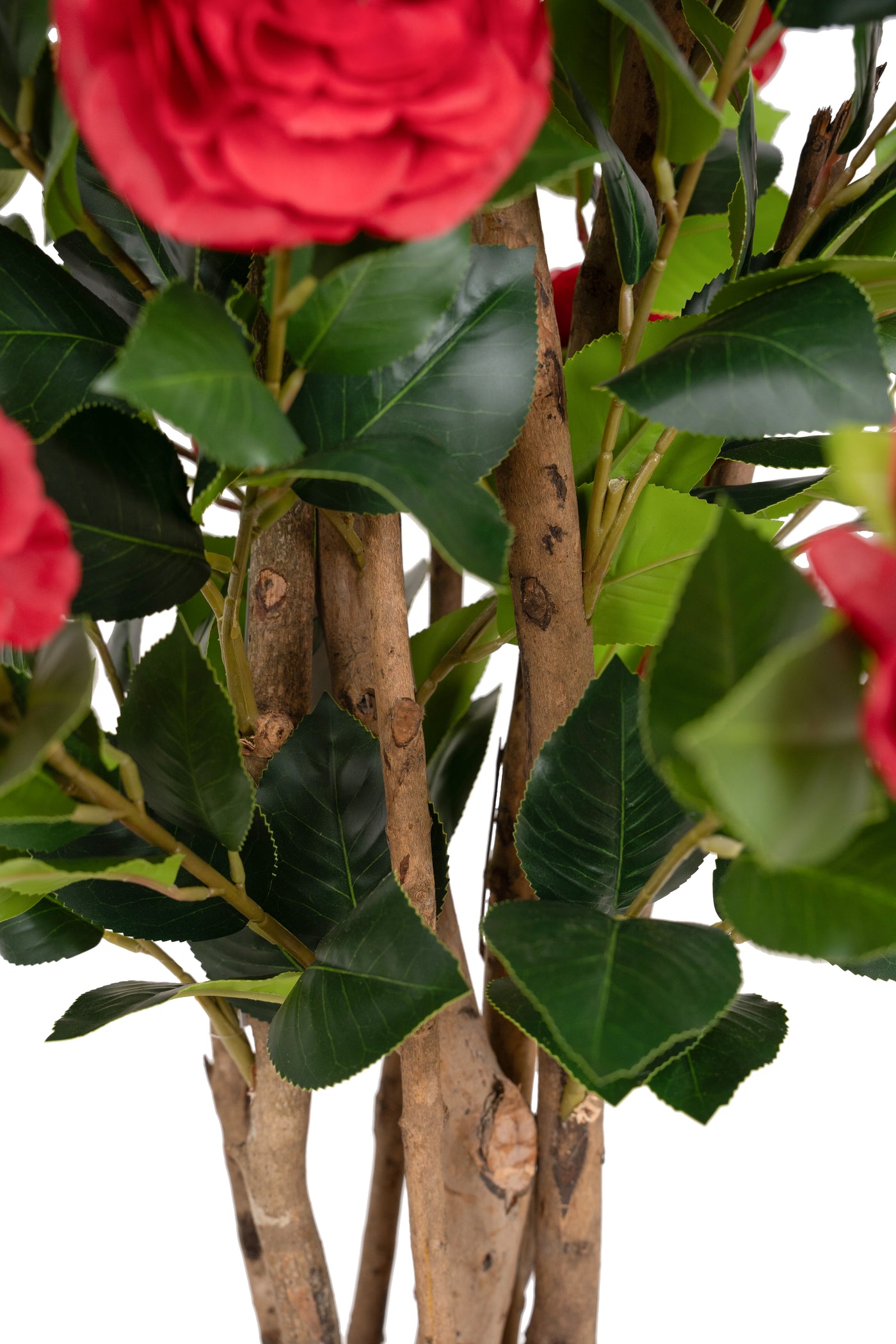 Copac artificial Camelia Japonica H150 cm cu 450 frunze si 45 flori rosii