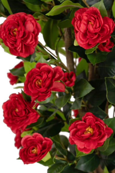 Copac artificial Camelia Japonica H150 cm cu 450 frunze si 45 flori rosii