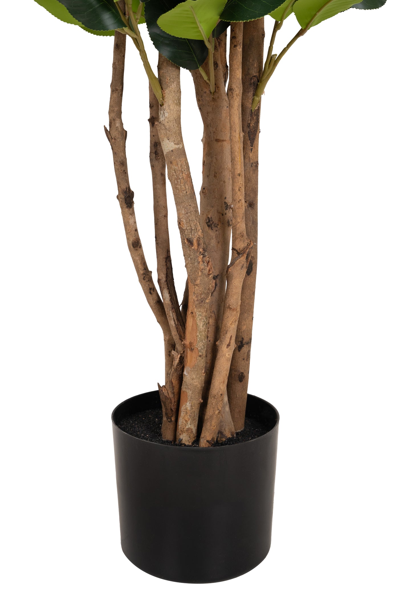 Copac artificial Camelia Japonica H150 cm cu 450 frunze si 45 flori rosii