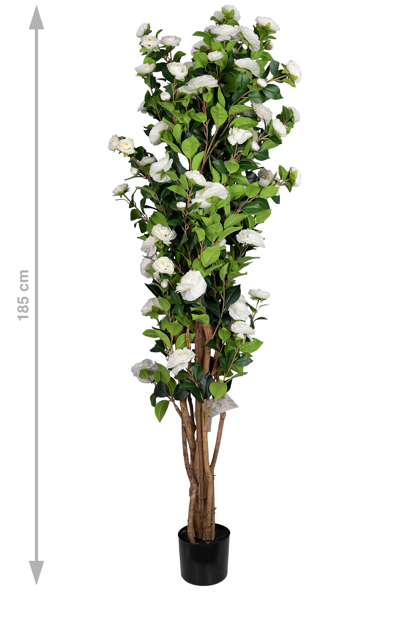 Copac artificial Camelia Japonica H180 cm cu 480 frunze si 48 flori albe