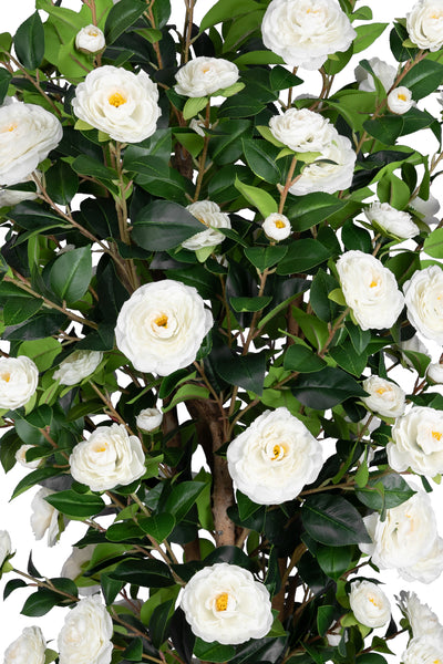 Copac artificial Camelia Japonica H180 cm cu 480 frunze si 48 flori albe