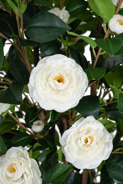 Copac artificial Camelia Japonica H180 cm cu 480 frunze si 48 flori albe