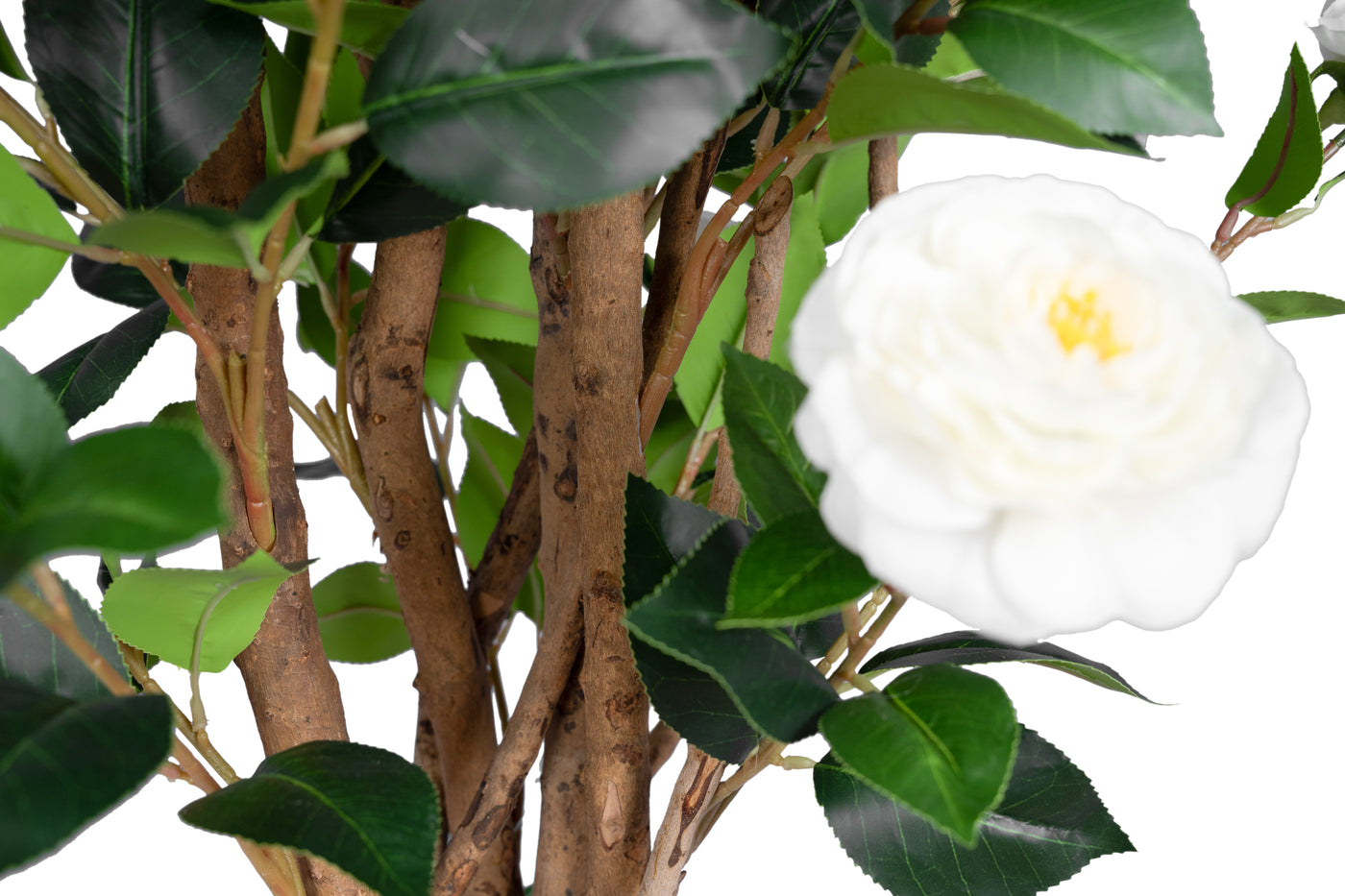 Copac artificial Camelia Japonica H180 cm cu 480 frunze si 48 flori albe